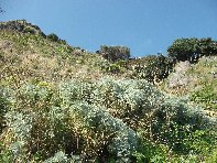 Acqua_del_Ferro - Santa_Caterina_20100124 018.jpg